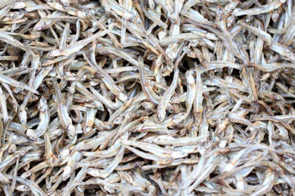 Dried anchovy sale price in 2020