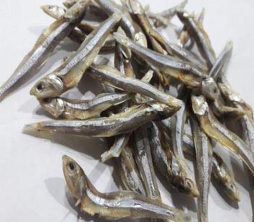 Why are anchovies so salty?