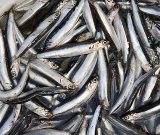 Is Superior dried anchovy in high demand?