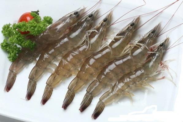 Bulk selling of Superior Vannamei Shrimp