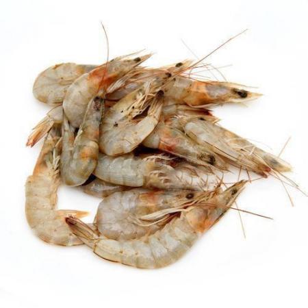 Superior Vannamei Shrimp Wholesalers