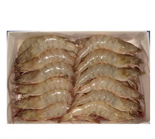 First rate Vannamei Shrimp Wholesale price