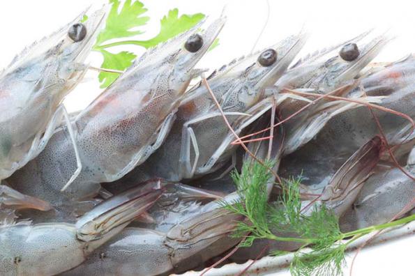 Nutritional facts about Vannamei Shrimp