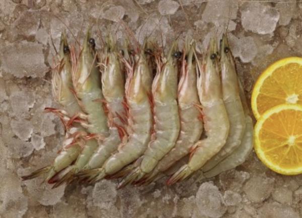 Reasons for popularity of Vannamei Shrimp