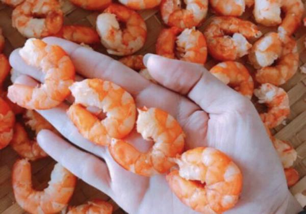 The brief introduction to Vannamei Shrimp