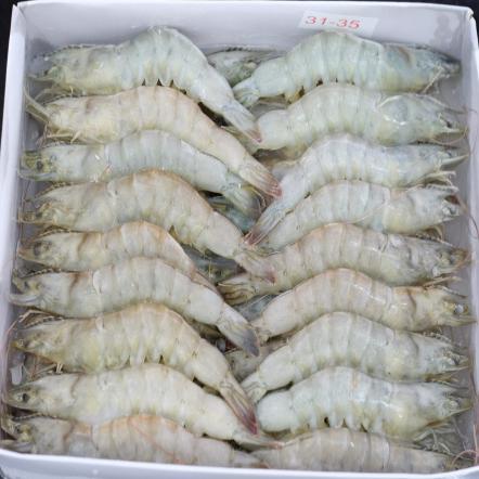 Vannamei shrimp price in 2021
