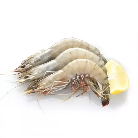 Unique Characteristics of Vannamei Shrimp