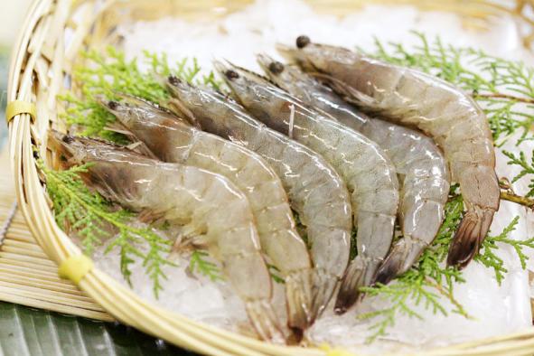 Bulk production of Superior Vannamei Shrimp
