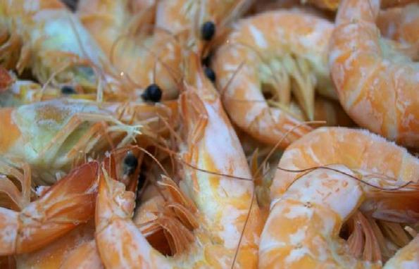 Where do vannamei shrimp come from?