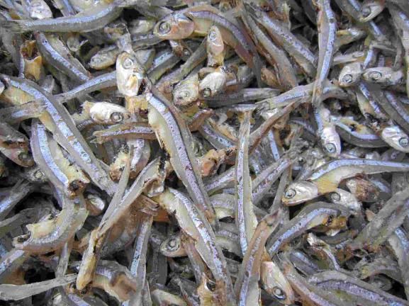 Market growth rate of Dried anchovy