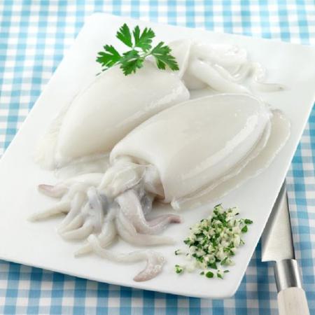 Cuttlefish exporters in the global market