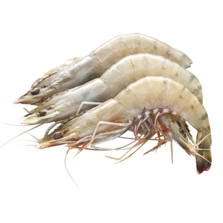 is eating vannamei shrimp healhty?
