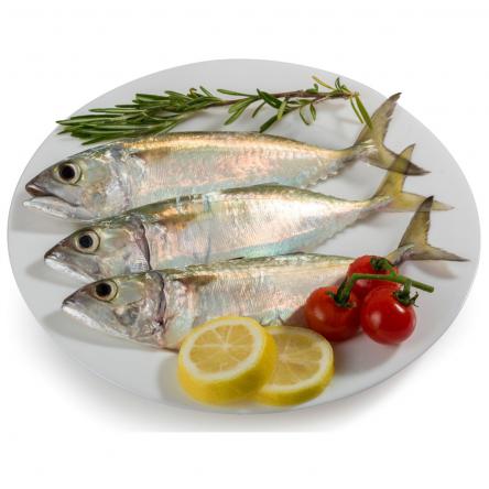 Is indian mackerel fish in high demand?