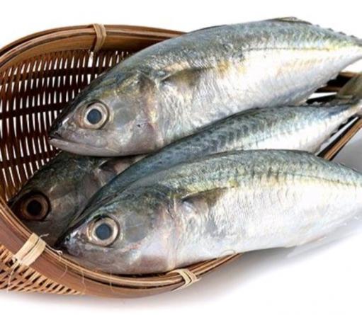 Is mackerel better than sardines?