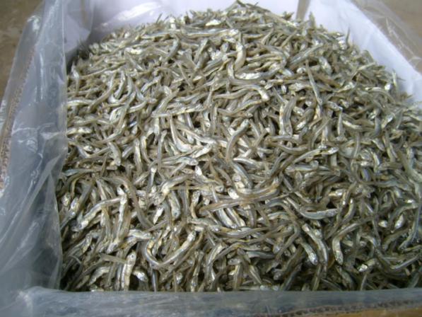 Price changes of High grade dried anchovy