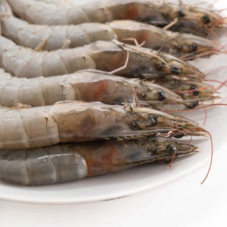 Who produces the most vannamei shrimp?