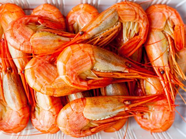 vannamei shrimp wholesale suppliers worldwide