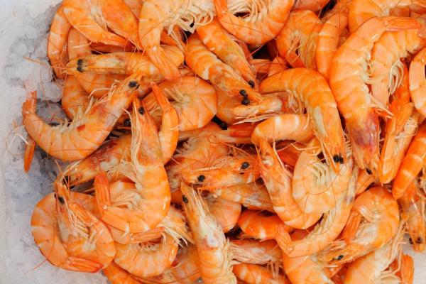 vannamei shrimp trade in Asia