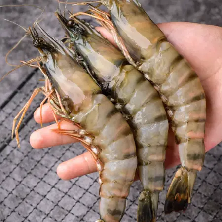 buy vannamei shrimp from wholesale producers