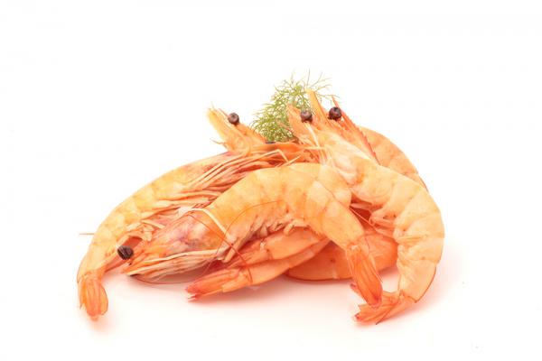 vannamei shrimp suppliers on sale centers