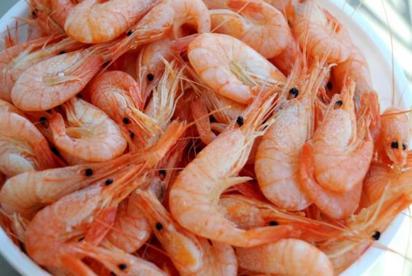 vannamei shrimp wholesale supply