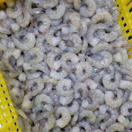 vannamei shrimp at cheapest price