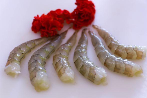 where to buy vannamei shrimp at wholesale price?