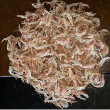 best dried shrimp market size in Asia