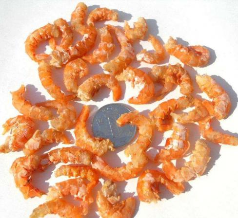 dried shrimp type exporters