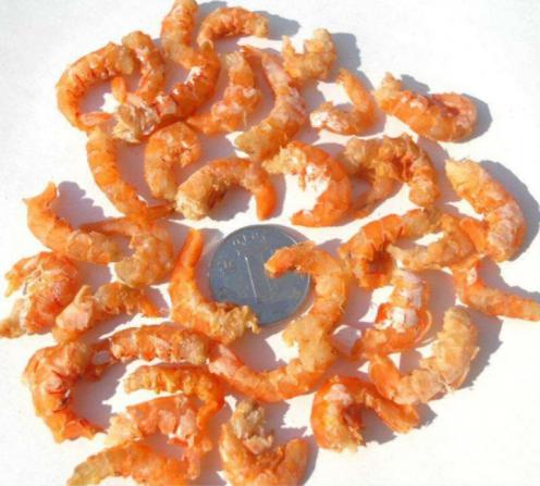 dried shrimp at cheapest price