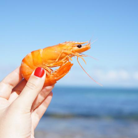 Supplying shrimp in bulk in 2021