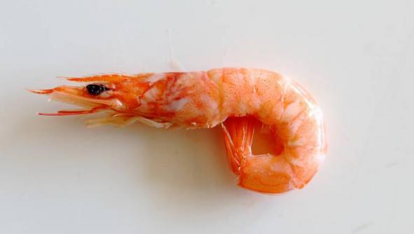 Why eating prawns is good?