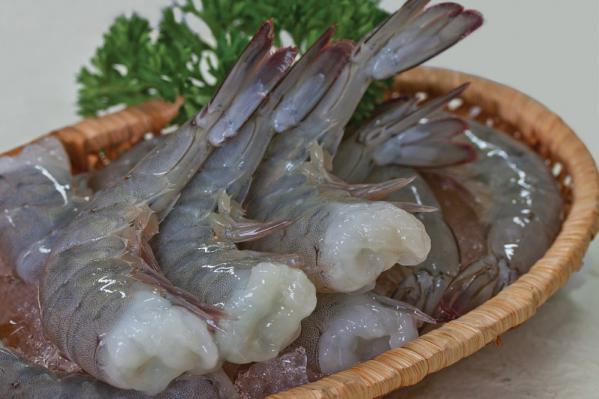 Bulk selling of vannamei shrimp