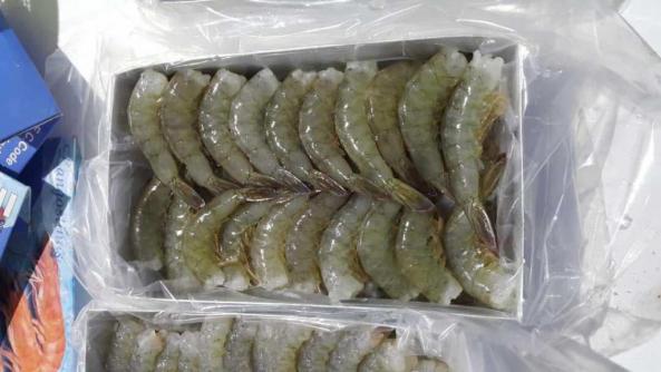 Local Suppliers of First rate vannamei shrimp