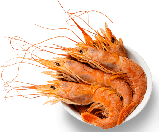 Unique Characteristics of vannamei shrimp