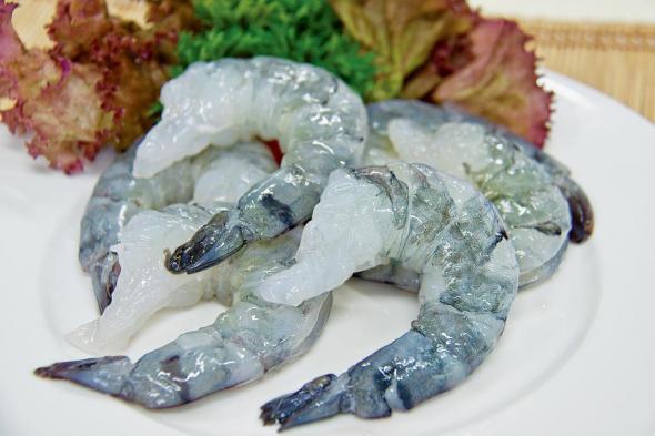 The brief introduction to vannamei shrimp