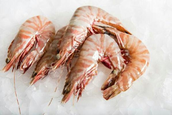 Domestic market of Highest quality prawns