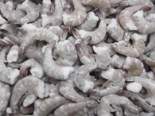 Latest price of vannamei shrimp