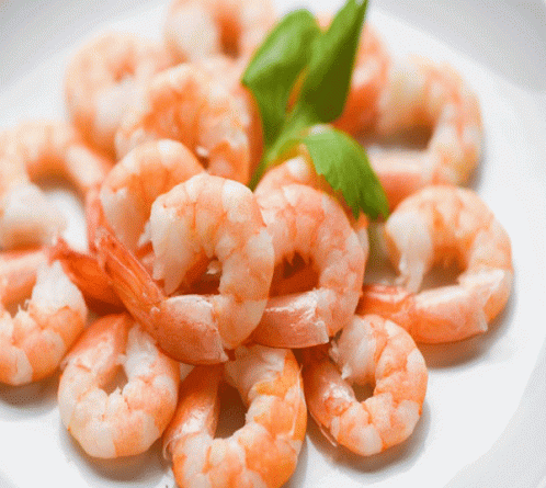 Reasons for popularity of vannamei shrimp