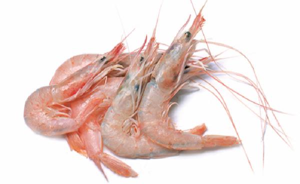 Trading cheap shrimp in bulk