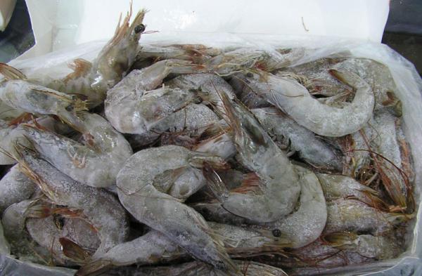 Vannamei shrimp for sale in bulk