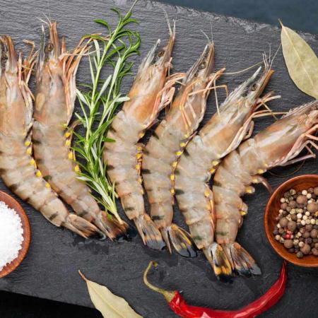 High quality prawns for sale