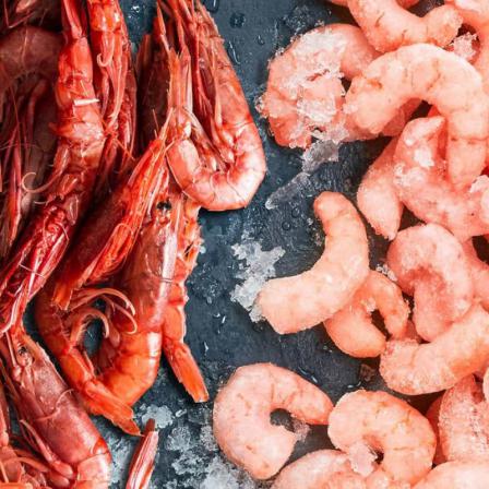 Premium dried shrimp Local Suppliers