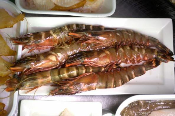 The best prawns Focal suppliers