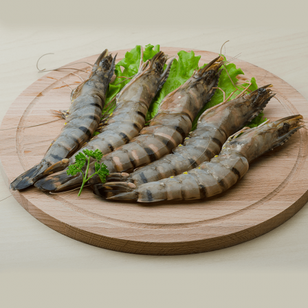 The best prawns Wholesale Supplier