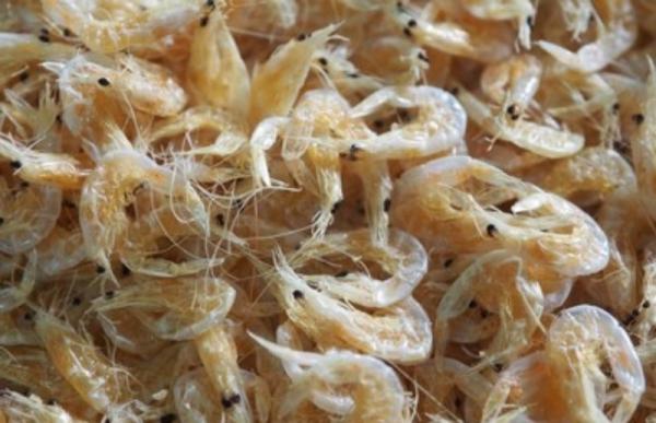 How do you clean dried shrimp?