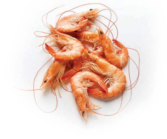 harvest fare shrimp