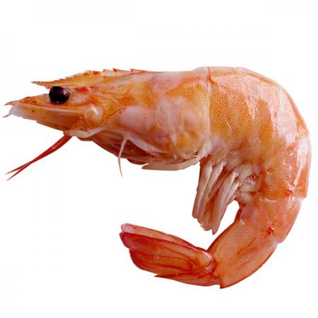 Market growth rate of Premium prawns