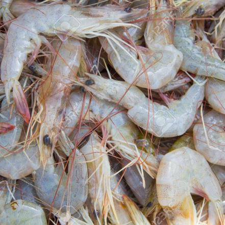 Purchase price of Highest quality dried shrimp
