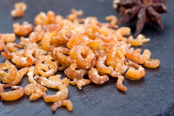 Crispy Dried Shrimp Suppliers